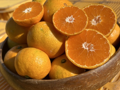 山口さんイチオシ！甘くて美味しい尾崎みかん（2S・S・Mサイズ)