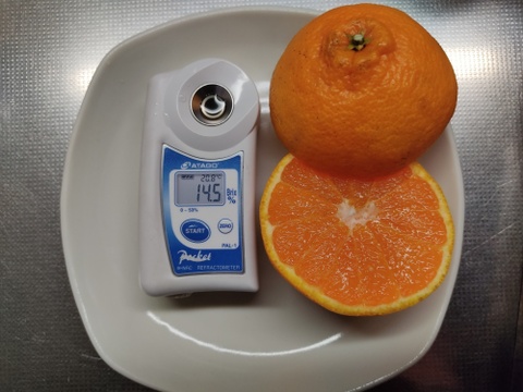 柑橘の王様　蔵出し不知火　家庭用Ｂ品　箱込み８.7キロ