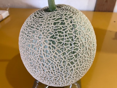 今季最終便ご家庭用マスクメロン🍈3.2kg(1.6kg×2玉・くまモン箱入り)