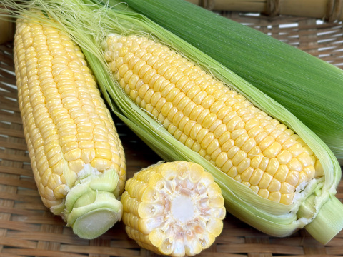 【朝どれ直送】毎日食べたくなる甘さ｜プレミアム味来 約4.5kg｜ふくおかエコ農産物認証