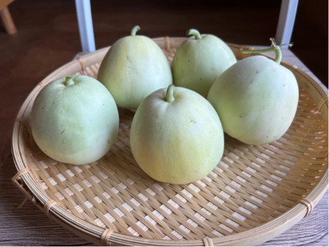 奥出雲産自然栽培ニューメロン(1.5kg程度)