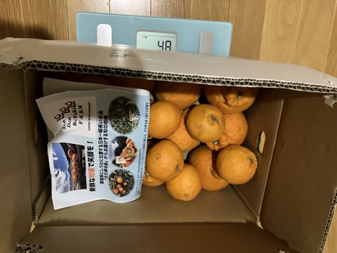 完熟不知火（デコ）家庭用・5kg