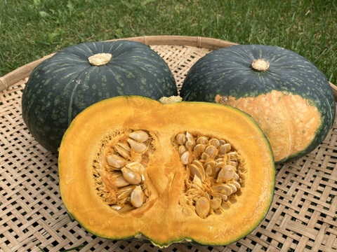 お得セット【中玉3玉＋超大玉1玉＝4玉】しっとり美味しいくりりん（7.5kg以上）