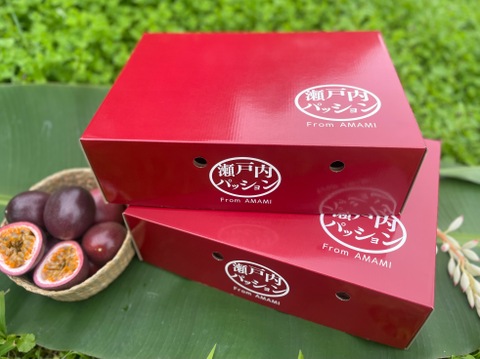 ＼プチっと食感／パッションフルーツ（贈答用・1.2kg）〜予約受付中〜