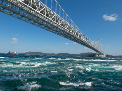 【旨さが違う】真蛸/鳴門海峡/大きめ/原体1.3~1.7kg/足だけ４本【冷凍】
