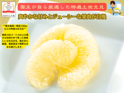 土佐文旦 ぶんたん ブンタン 高知 訳あり 贈答用 大玉 7kg【日本ギフト大賞受賞】 園主こだわり土佐文旦【予約早割10％OFF】（2025年2月1日発送開始 ）みかん 国産みかん 果物 柑橘