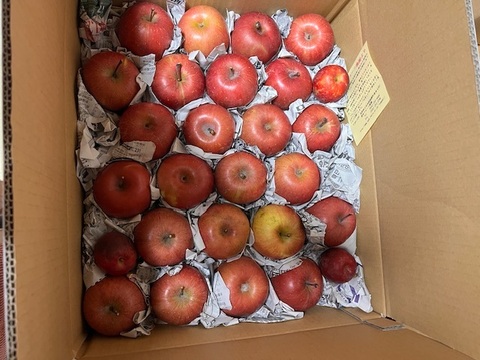 サンふじ SS小玉ちゃん約26玉（約4.5㎏）
昨年好評をいただいたSSサイズのかわいいりんごです。
バラ詰めでお届けします。まるかじりでどうぞ。