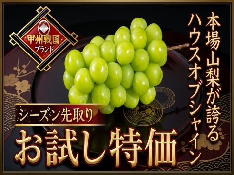 【フルーツ王国山梨】シャインマスカット本場山梨の旬を全国に先駆けて最高糖度でお届け！甲州戦国ブランド『ハウスオブシャイン』お試し特価キャンペーン約1㎏☆高級ぶどう家庭用・ギフトにも【6月上旬予約】