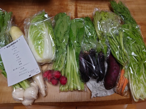 新鮮！旬の野菜セット【Mサイズ：約4〜4.5kg】【12品目】農薬・化学肥料不使用