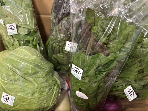 定期便設定（お届け日は２～３日前後します）【たっぷりいろいろ　２０００円セット】農家人が選ぶ旬野菜のおまかせセットです。季節ごとの旬の世界農業遺産ブランド野菜を厳選してお届け致します。