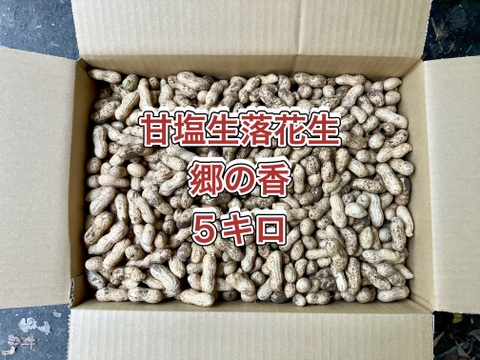 【鹿児島産】甘塩生落花生箱込み5キロ^_^