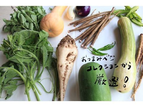 贅沢生野菜「おつまみベジ」厳選7種〜