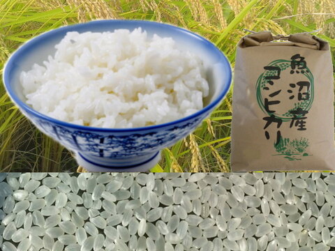 南魚沼産コシヒカリ無洗米乾式4kg(2k×2)令和4年産🌾