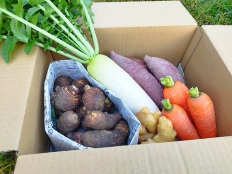 お正月お野菜セット【農薬不使用】２６日or２７日発送