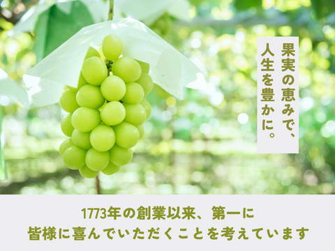 《ギフト》種なし巨峰（４〜６房）長野県須坂市産・クール便