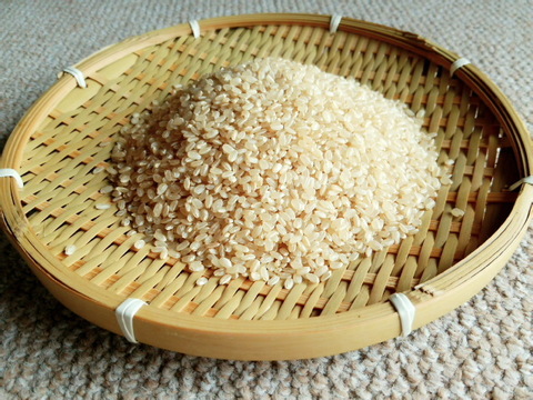 【新米】🌸🌸🌸肥料・農薬不使用30年間『神の力』桐箱風呂敷包み コシヒカリ玄米5kg