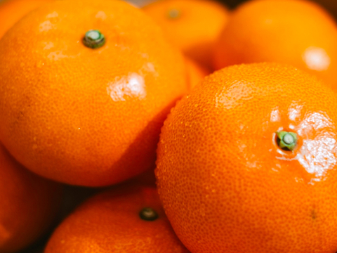 【予約限定価格】柑橘の大トロ【せとか 2.5kg×2箱】～とろける濃厚果実～ 家庭用