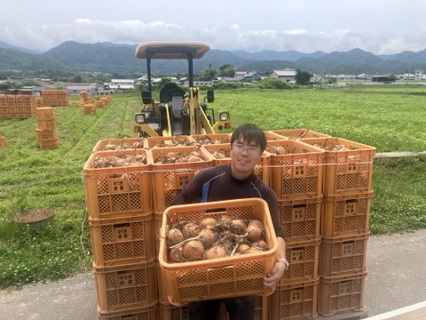 ※数量限定　納豆菌栽培　淡路島玉ねぎ　大玉１0ｋｇ