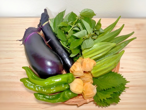 味が濃い！固定種☆旬の自然栽培のちょこちょこお任せ野菜セット(*^^*)