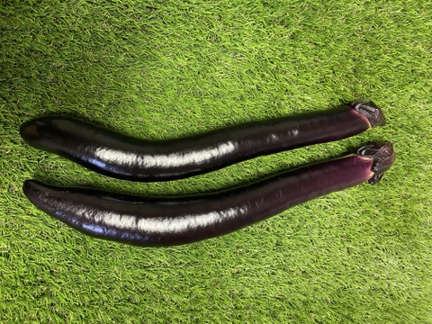 ながーくて、うまーーい!(^^)!庄屋大長なす20本