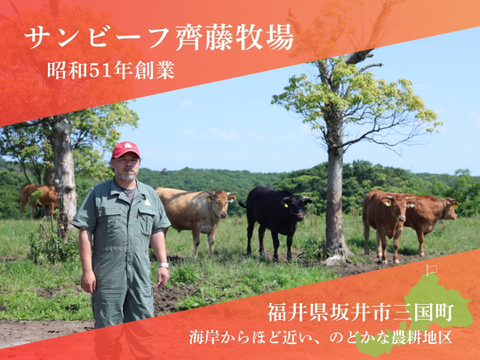 若狭牛 旨味濃縮 赤身 サイコロステーキ  1kg（250g×4） 【 お肉 お取り寄せ グルメ 贈り物 ギフト プレゼント 誕生日 おすすめ 】【母の日ギフト】