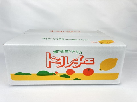 【百貨店で1400箱売れるドルチェみかん🥇】”完熟マルチ栽培”早生みかん10kg