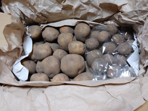 【ちょっと訳有❗】じゃがいも【キタアカリ】大きさ色々　80サイズ　4kg　おまけ付
※商品説明をご一読の上、「常温便」、「クール便」をご指定下さいませ。
