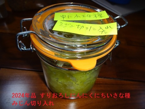 【今が旬】大きさと味に感動！安心安全の農法で育てたジャンボにんにく【一房】