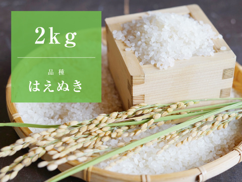 【新米/はえぬき2kg/特別栽培米】心を込めて作りました♪山形県産はえぬき（精米2kg）