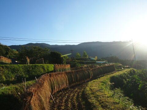 農家魂♥土どんぱ餅♥4種類詰合せ　8枚入300ｇ×4パック