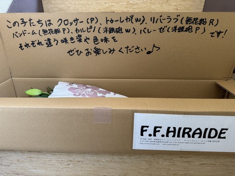 【食べチョク初登場】無花粉オリエンタルユリ5本リバーシリーズmix※10/1~10/7着までの期間限定商品です。数量限定商品