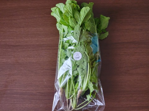 今の時期だけ！聖護院大根の葉大根500g