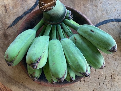 自然栽培　辺塚バナナ（へつか）林檎系の爽やかな酸味とバナナの甘味のバランスが非常に良い。在来種のバナナ　重量：約900gm~1kg