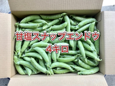 【鹿児島産】甘塩スナップエンドウ箱込み4キロ^_^