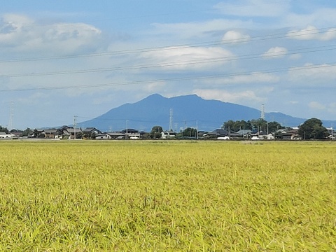 梨　にっこり　家庭用３kg