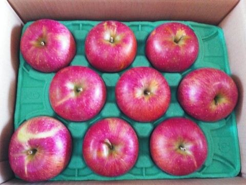 【甘いりんご解禁です🍎】 シナノスイート 3キロ箱 6玉〜15玉サイズ ID42539  甘い 長野県 信州 安曇野 リンゴ 幻 幻のリンゴ 予約 希少 旬
