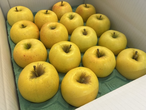 【予約販売】希少  もりのかがやき 約5kg(14～20個)