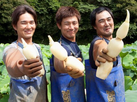 【美肌】秋れんこん2kg  ★シャキ旨直送 贈り物に◎至高の美味しさ/ 蓮根 / レンコン