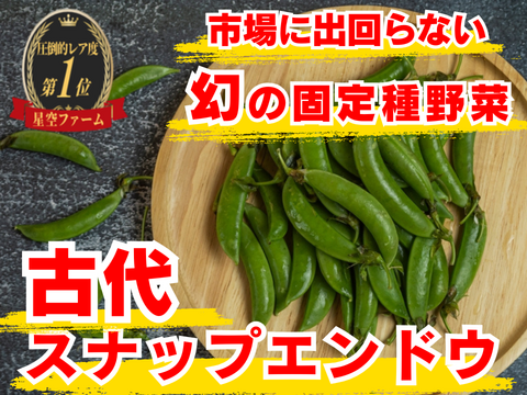 💡子供がポリポリ止まらない💡肉厚で甘い幻の古代種スナップエンドウ【農薬不使用】【化学肥料不使用】【品種改良なしの固定種野菜】🫛5月下旬予約🫛