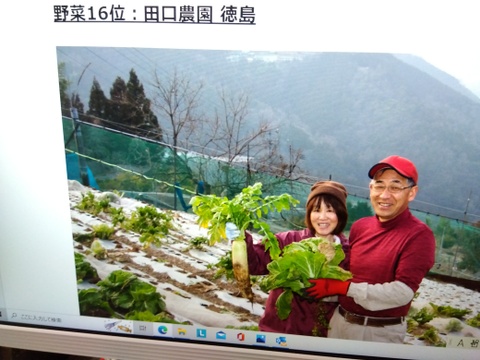 山菜の王様「タラの芽」
タラの芽55gパック入を５パック
【タラの芽天ぷらのレシピ付き】
収穫始まりました。順次お届けします。