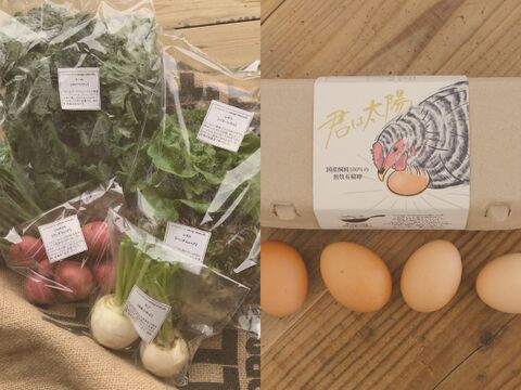 【サステナブルな地域循環型セット】農薬不使用野菜5種と国産飼料の放牧卵「君は太陽」10個