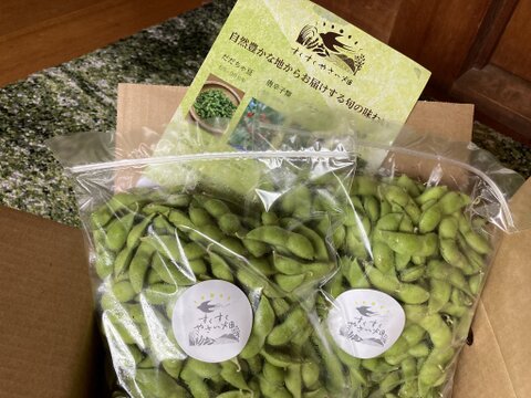 【夏ギフト】2023年山形鶴岡特産枝豆☆だだちゃ豆（8月発送）500g×2