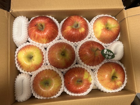 【冬ギフト】 🍎レビュー数1700件突破！！《家庭用》青森完熟葉とらずふじ８〜１２玉(約３kg)🍎ID119812