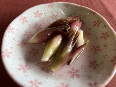 漬物3点セット　きゅうりの醤油漬け200g・みょうがの甘酢漬け100g・きゅうり1漬け3本　群馬県東吾妻町産