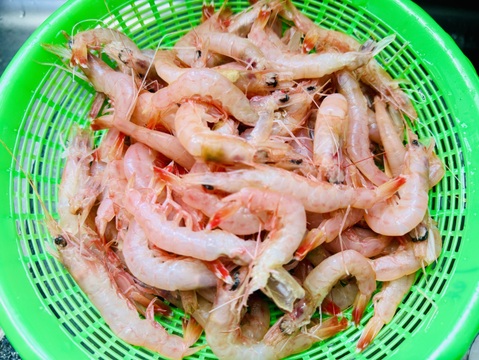 【母の日】ありがとうを贈る トロえび（中小サイズ）丸ごと楽しむ1kg