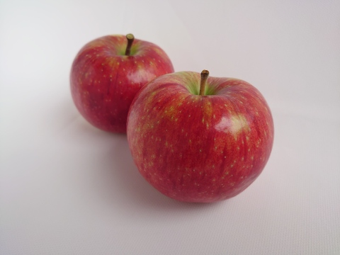 長野県専売リンゴ『シナノリップ』２㎏サイズ箱（５～９玉）夏においしいりんごです！