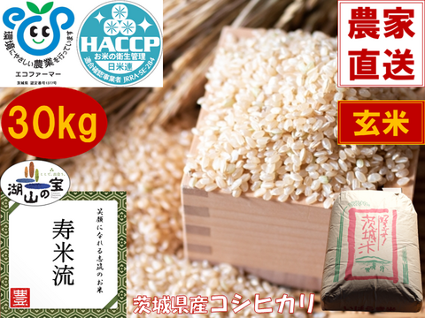 【入替処分売出し‼︎】近江米★コシヒカリ30キロ ‼︎ コシヒカリ 新米 令和7年産 30kg 米 お米 玄米食でも安心の選別