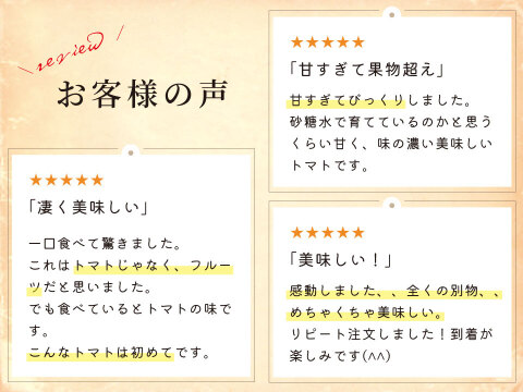 シュガープラム4kg 糖度10度以上の高リコピン(13mg)極甘・完熟・高糖度ミニトマト　ジューシーな甘さがクセになる(300005)