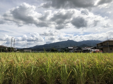 瀬戸内あきたこまち 5kg