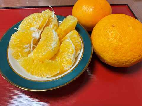 ほど良い酸味とスッキリとした甘み！芳香熟成甘夏4.5kg